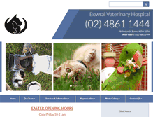 Tablet Screenshot of bowralvethospital.com.au